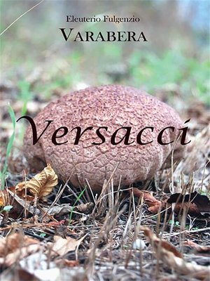 cover image of Versacci